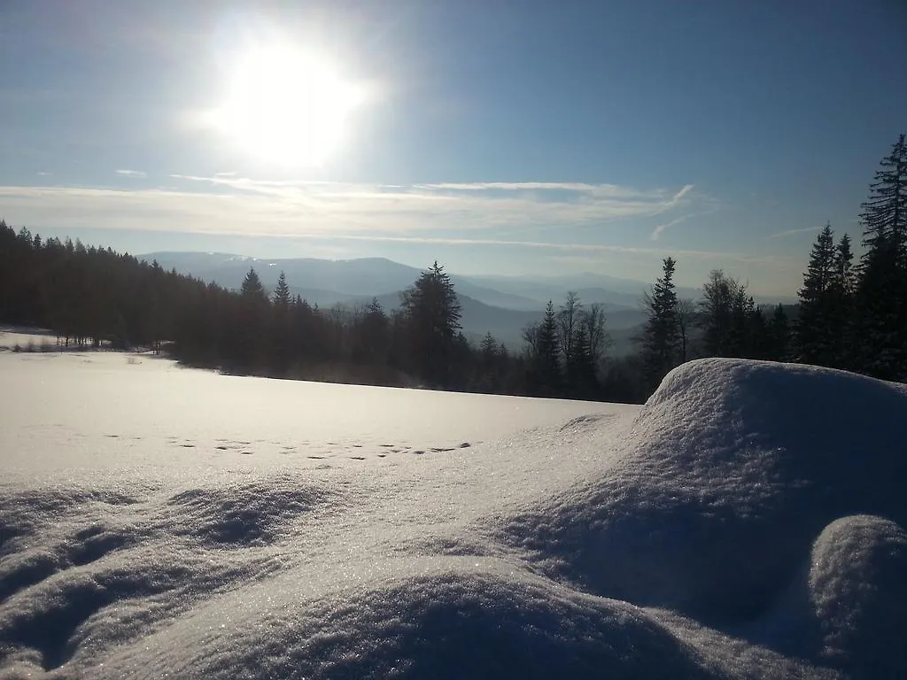 Apartmán Arber Alm Bayerisch Eisenstein