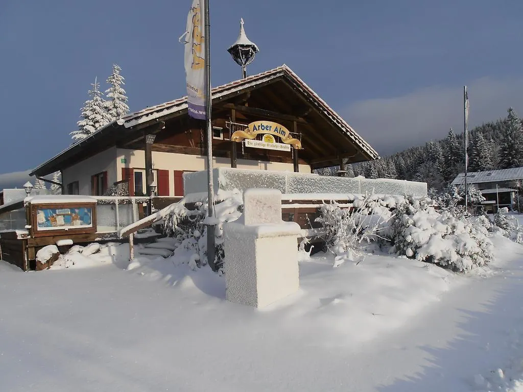 Arber Alm Daire Bayerisch Eisenstein Almanya