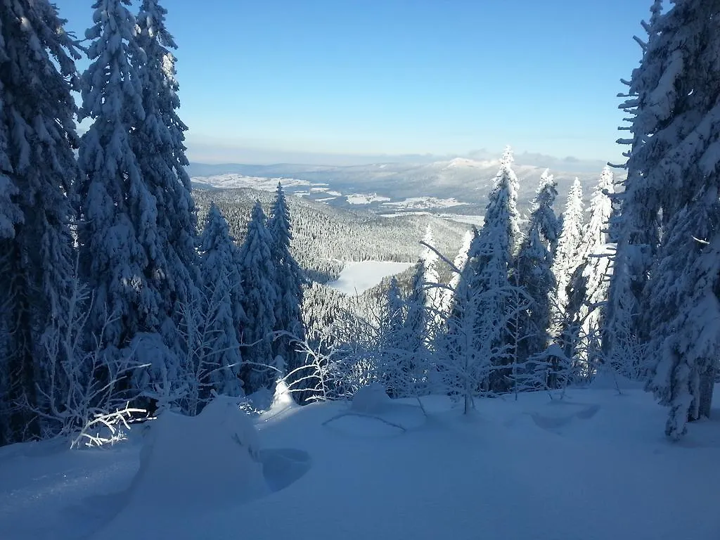 Arber Alm Daire Bayerisch Eisenstein 0*,