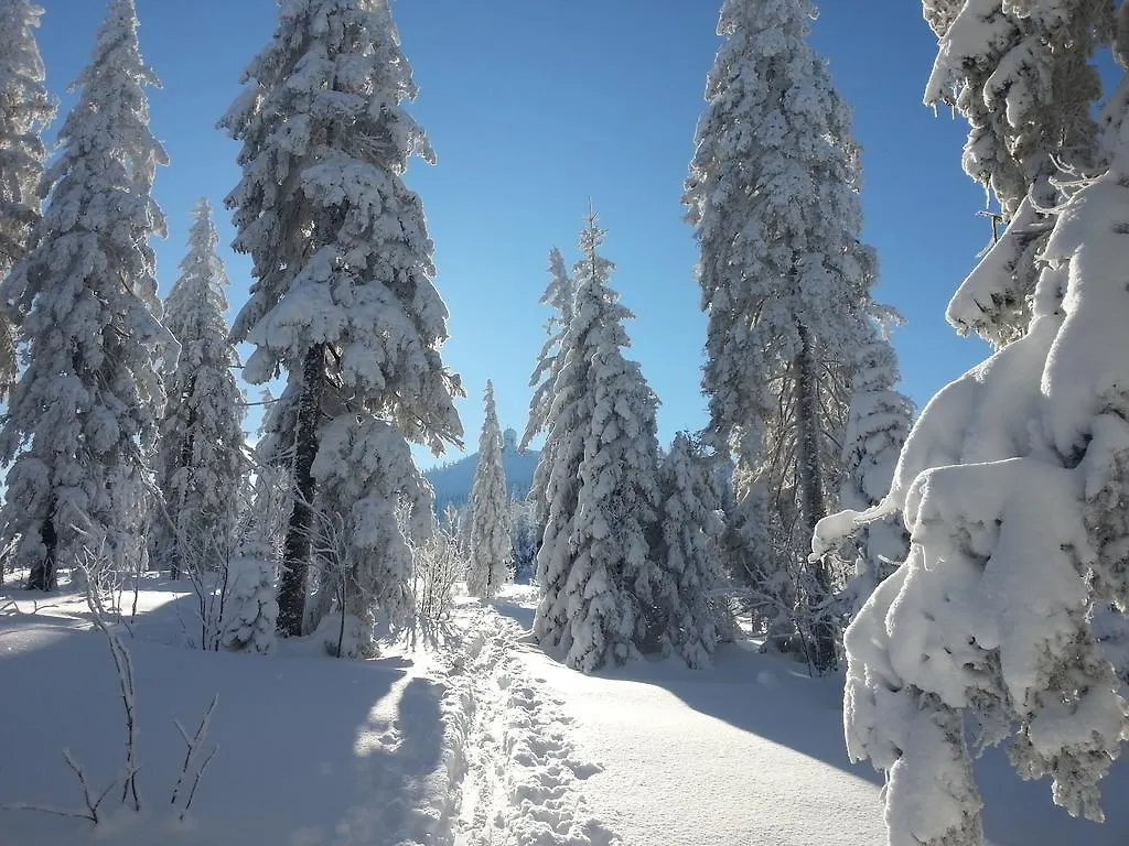 Arber Alm Daire Bayerisch Eisenstein