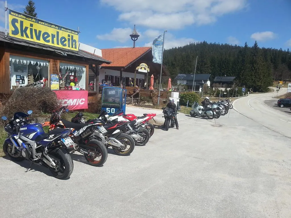 Arber Alm Daire Bayerisch Eisenstein 0*,